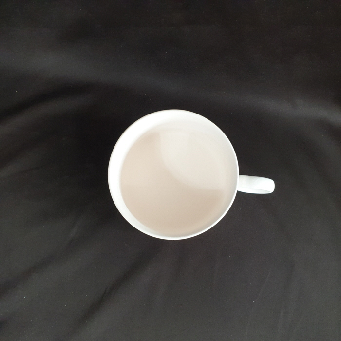 볼-19