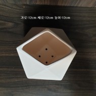 소품-11